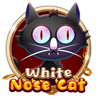 White Nose Cat